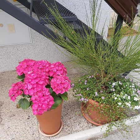 Apartma Arnez Bled Exterior foto