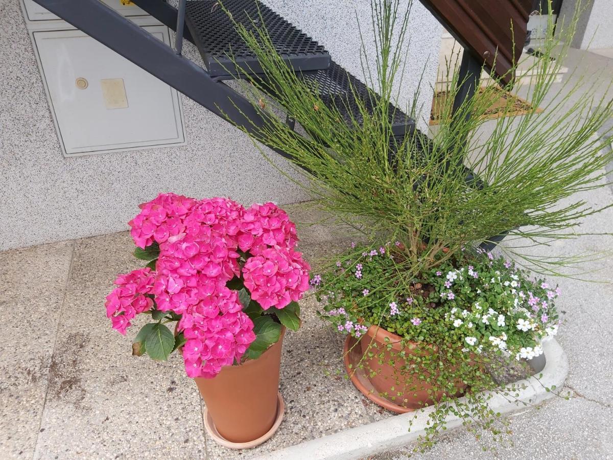Apartma Arnez Bled Exterior foto